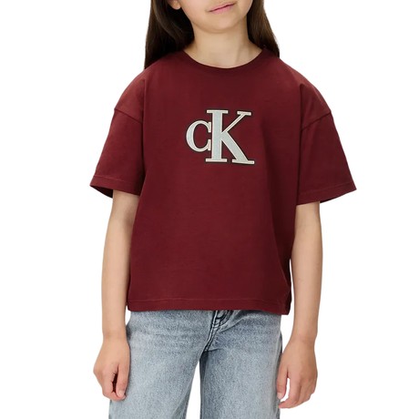 T-shirt Calvin Klein Jeans raspberry chocolate &mdash; pictures 1