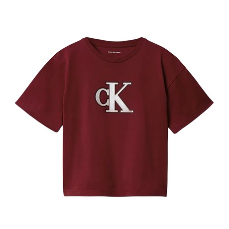 T-shirt Calvin Klein Jeans raspberry chocolate &mdash; pictures 3