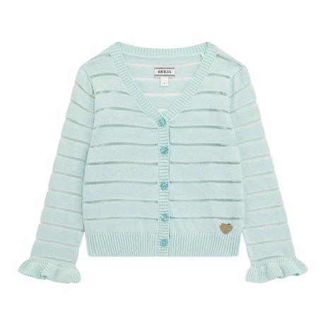 GUESS &mdash; K5RR04