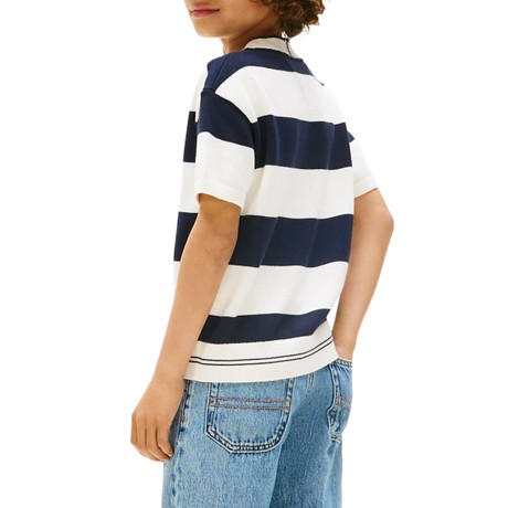 Свитера Tommy Hilfiger dark night navy stripes &mdash; фотографии 2