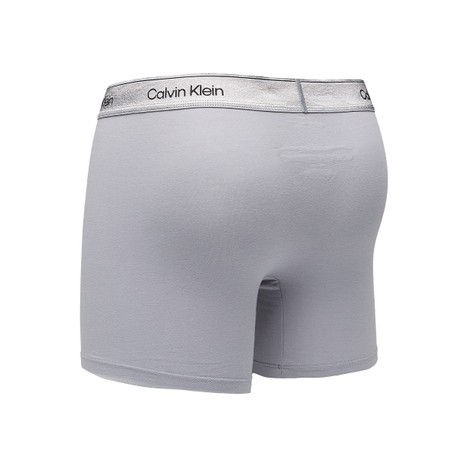 Sous-Vêtements Calvin Klein shoreline lime cream misty grey &mdash; photo 2