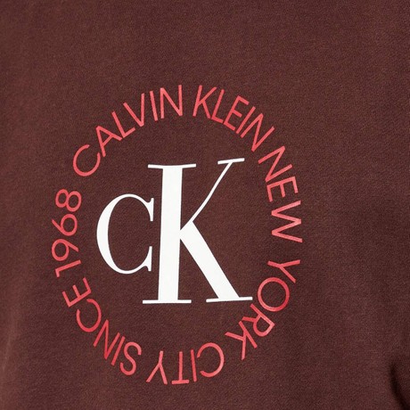 CALVIN KLEIN JEANS LV14RE250G - Rich Brown - SWEATSHIRTS - Image 3