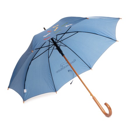 HARMONT & BLAINE O0A0010 - BLUE - OMBRELLI - Image 2