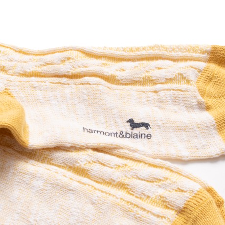 HARMONT & BLAINE Q0HP010 - GIALLO/BIANCO - ALSÓNEMŰ - Image 2