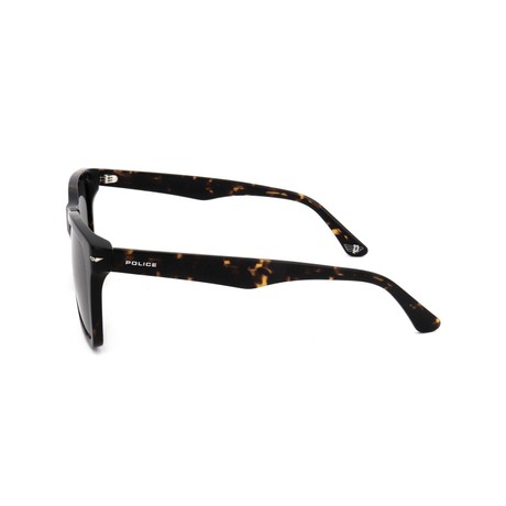 Sunglasses Police shiny dark havana &mdash; pictures 3