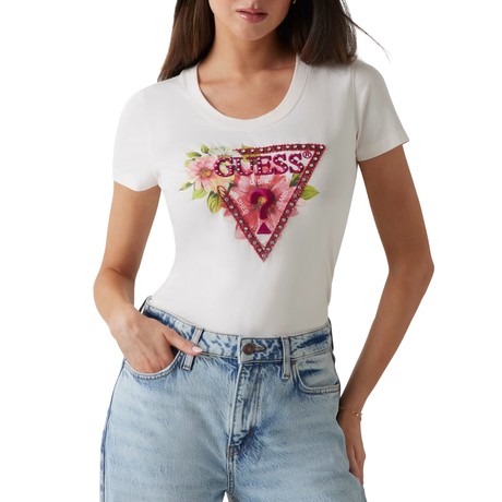 GUESS &mdash; W5GI10