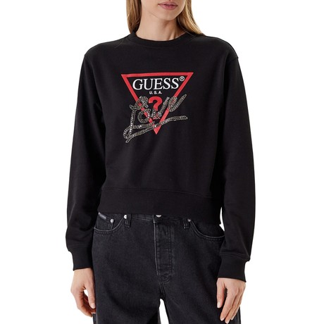 GUESS &mdash; W5YQ06