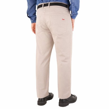 HARMONT & BLAINE WSF0010 - BETULLA - PANTS - Image 2